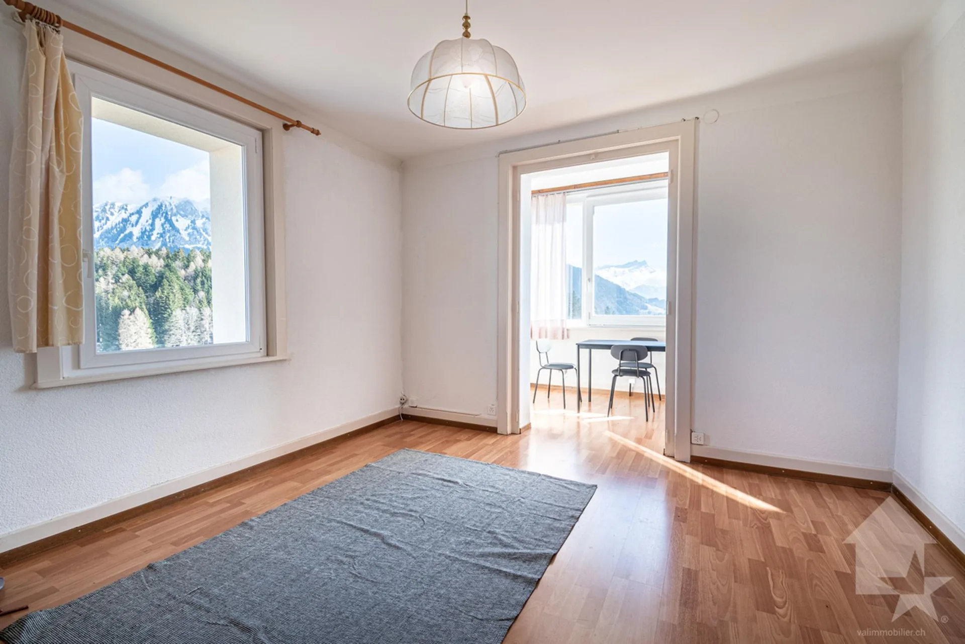 Bel appartement traversant à Leysin