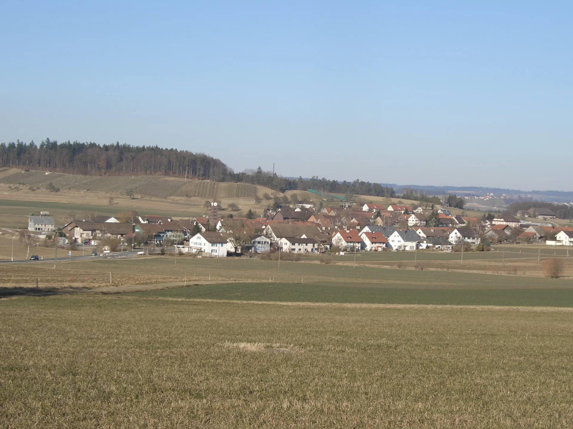 Rickenbach (ZH)