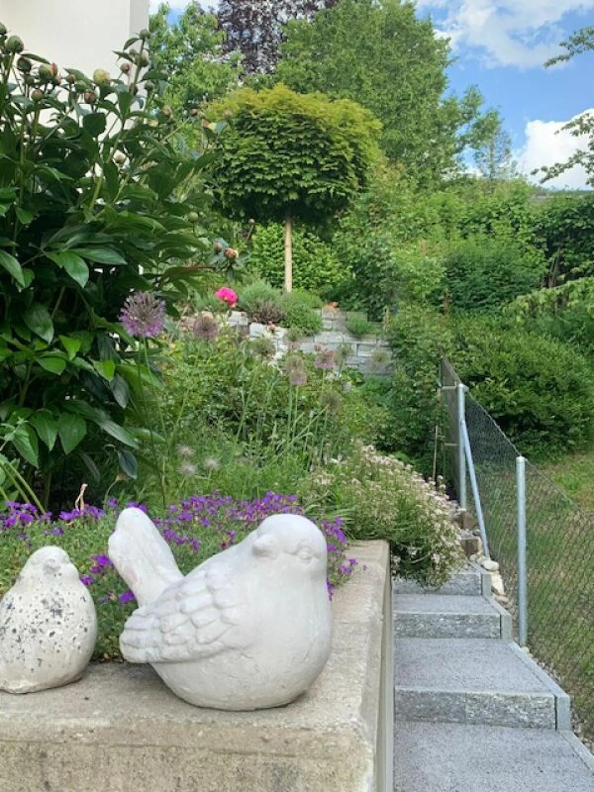 Image 22