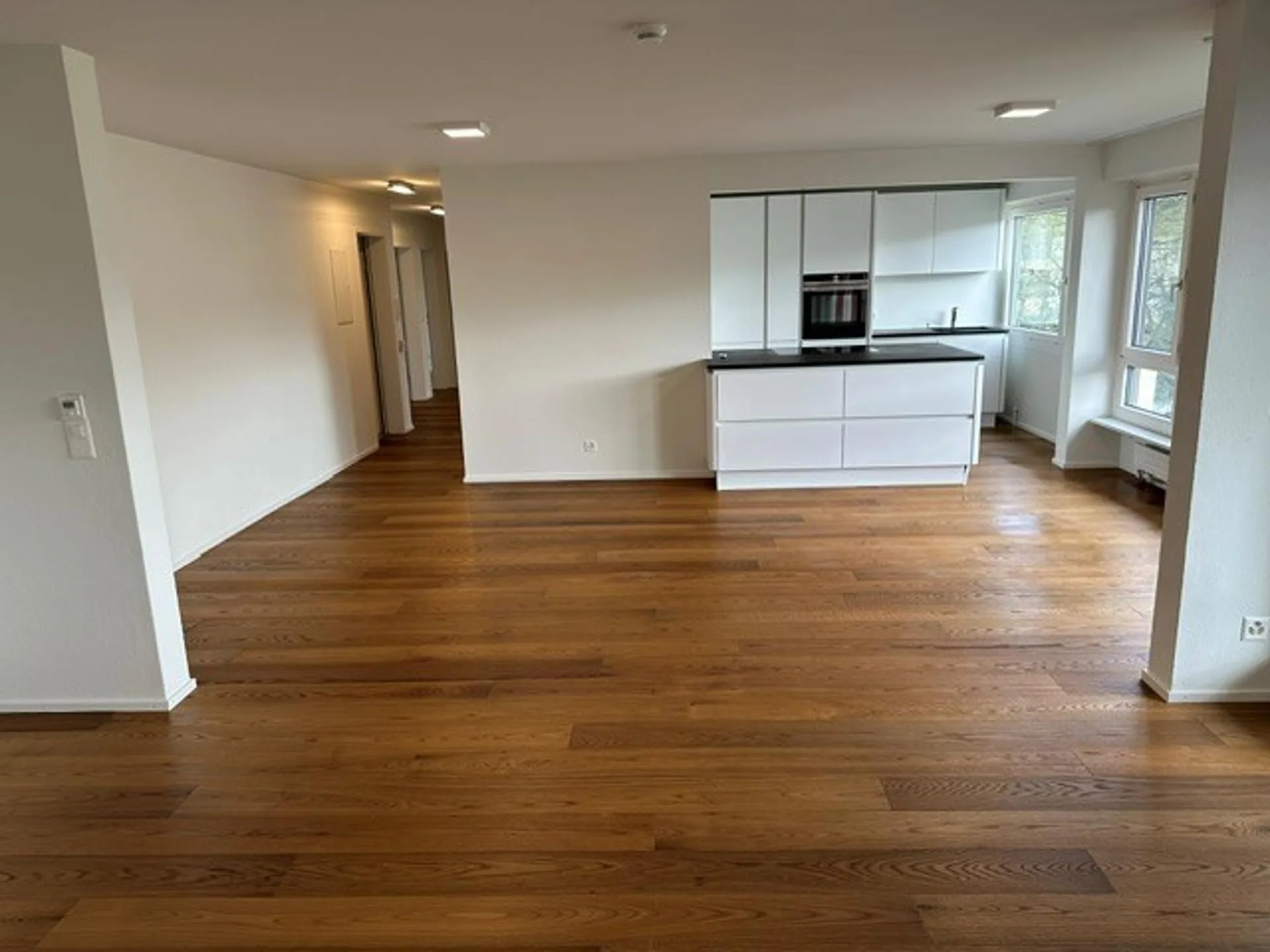 Appartamento moderno grande ad Allschwil