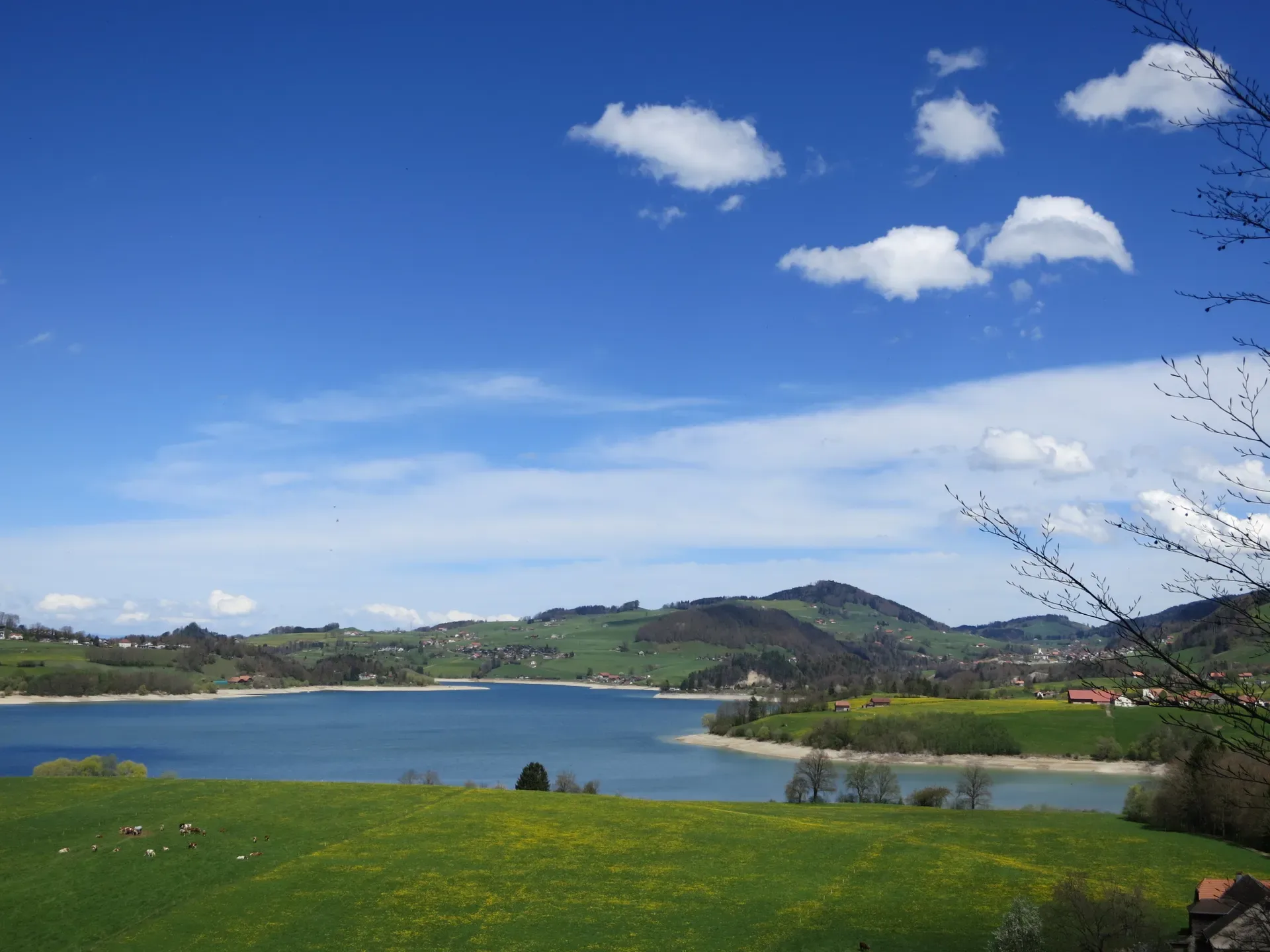Marsens