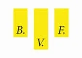 BVF, Bau-, Verwaltungs-, Finanzierungs- und Treuhand AG