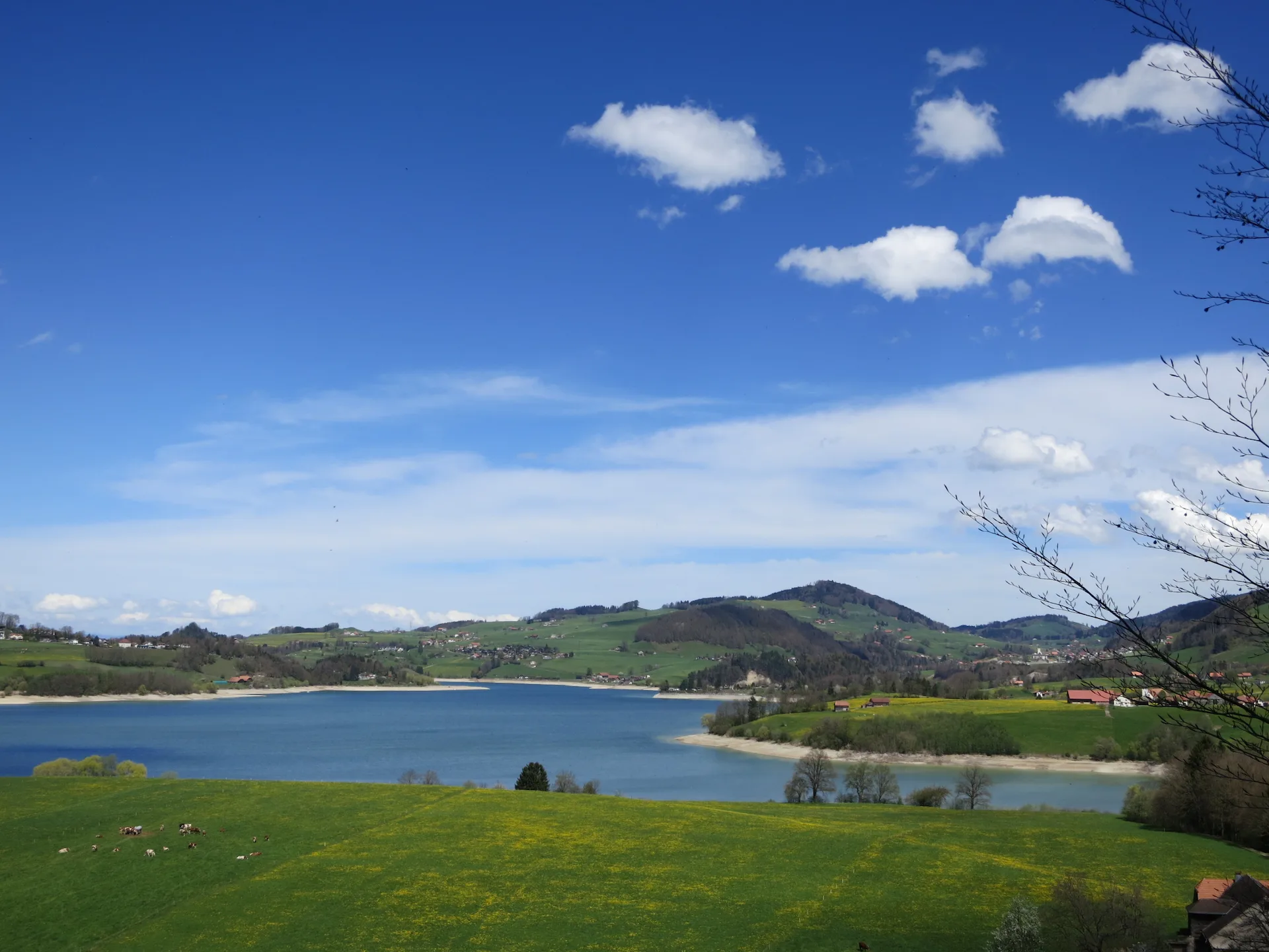 Marsens