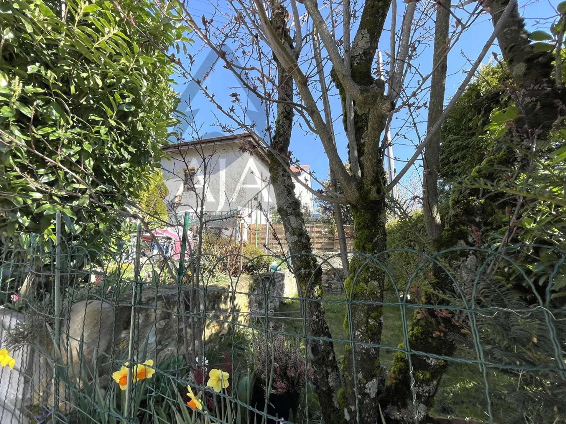 Image 13