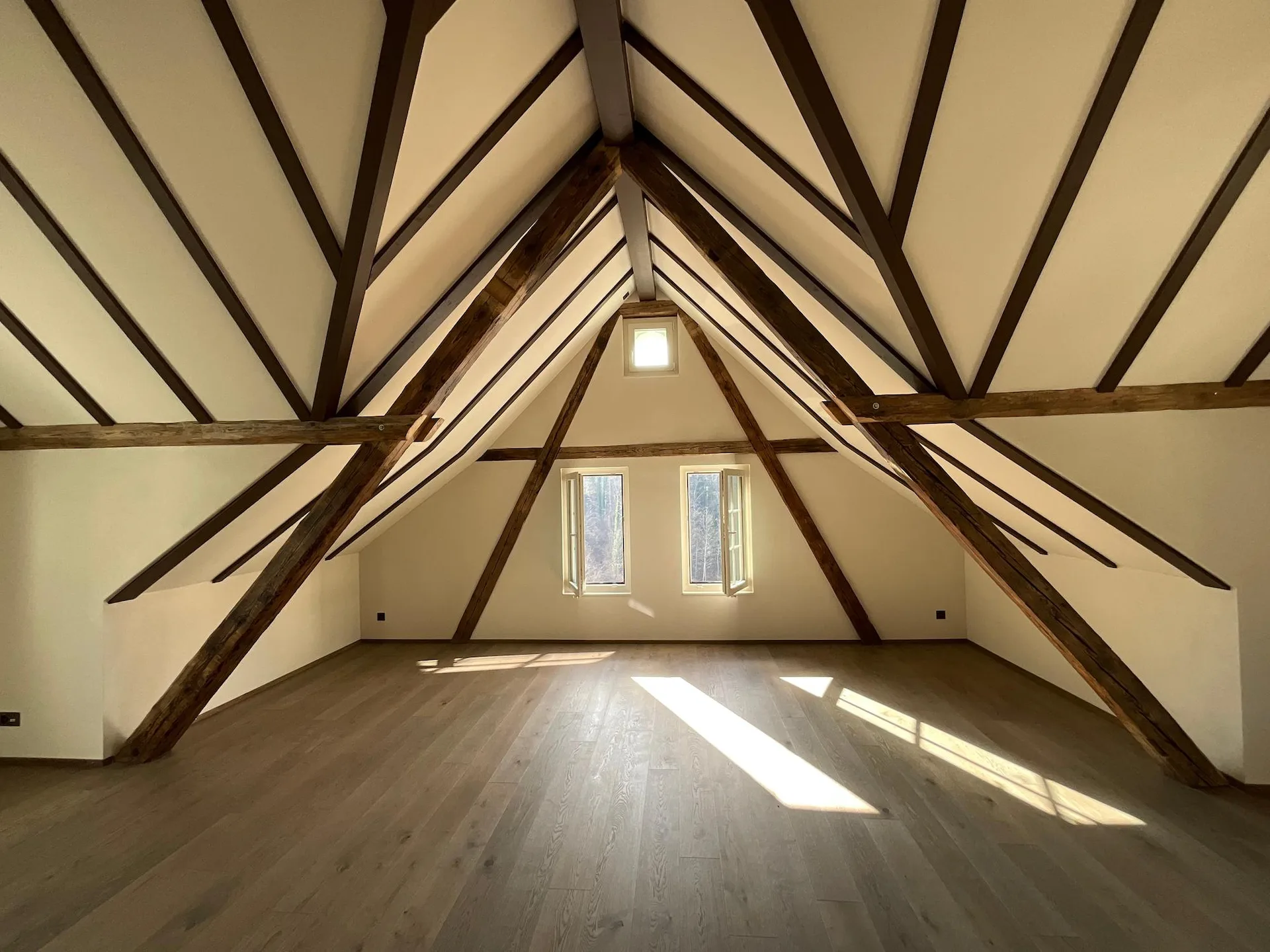 Charm of old building meets new construction: FIRST RENTAL 4.5 room apartment