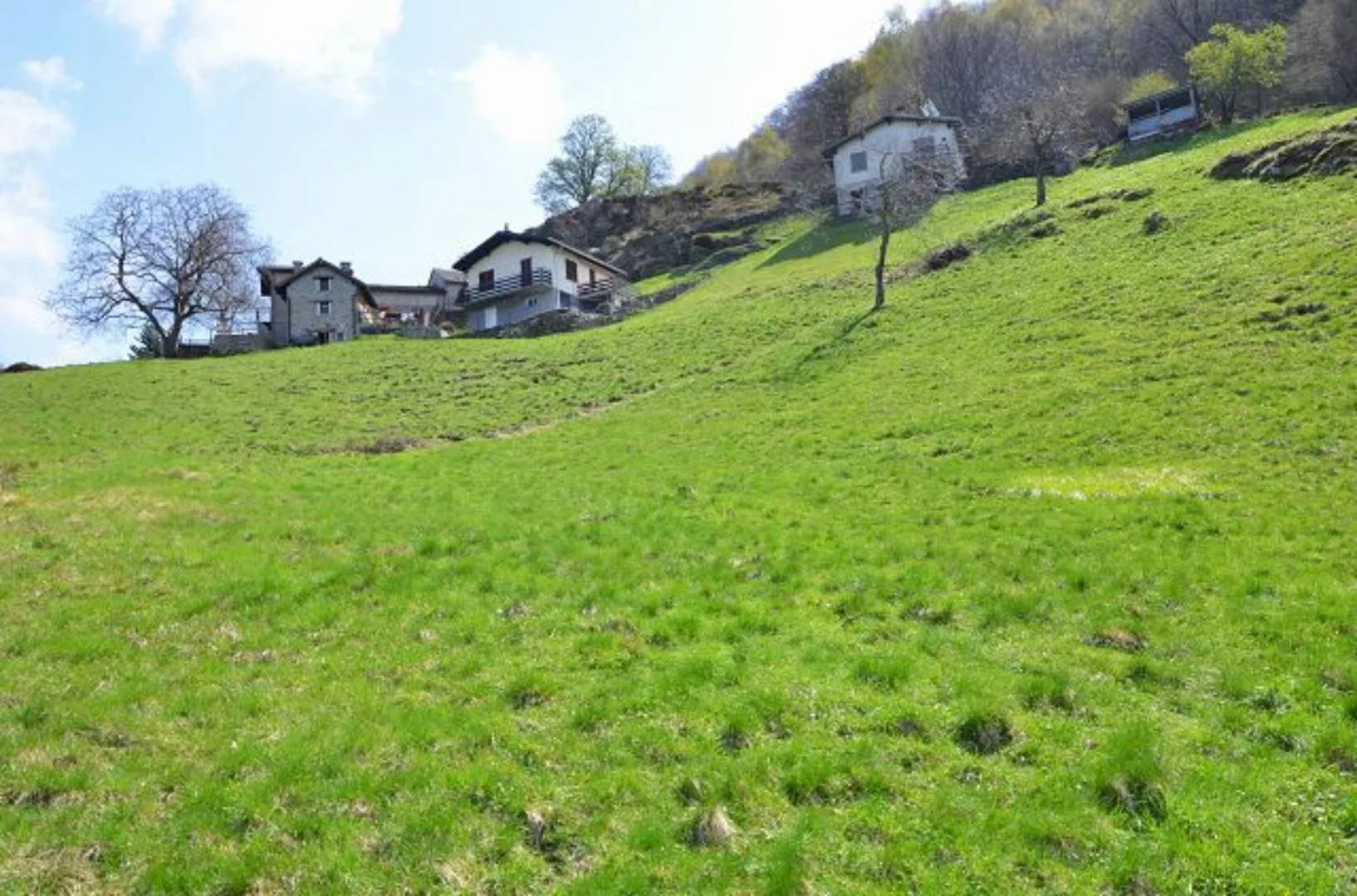 Image 38