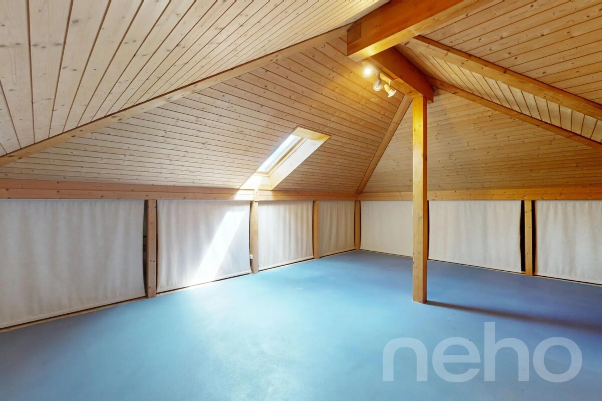 Immagine 8