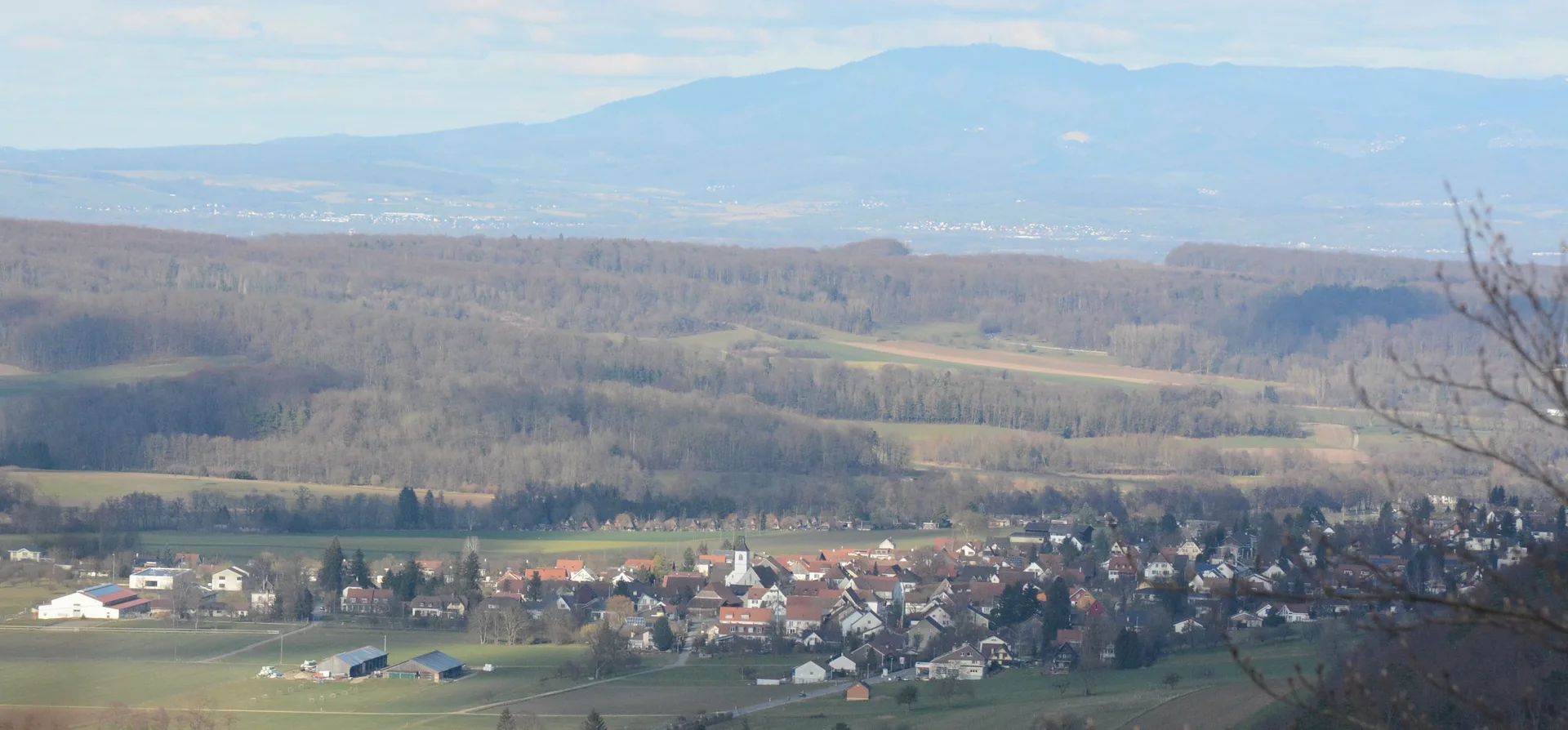 4118 Rodersdorf