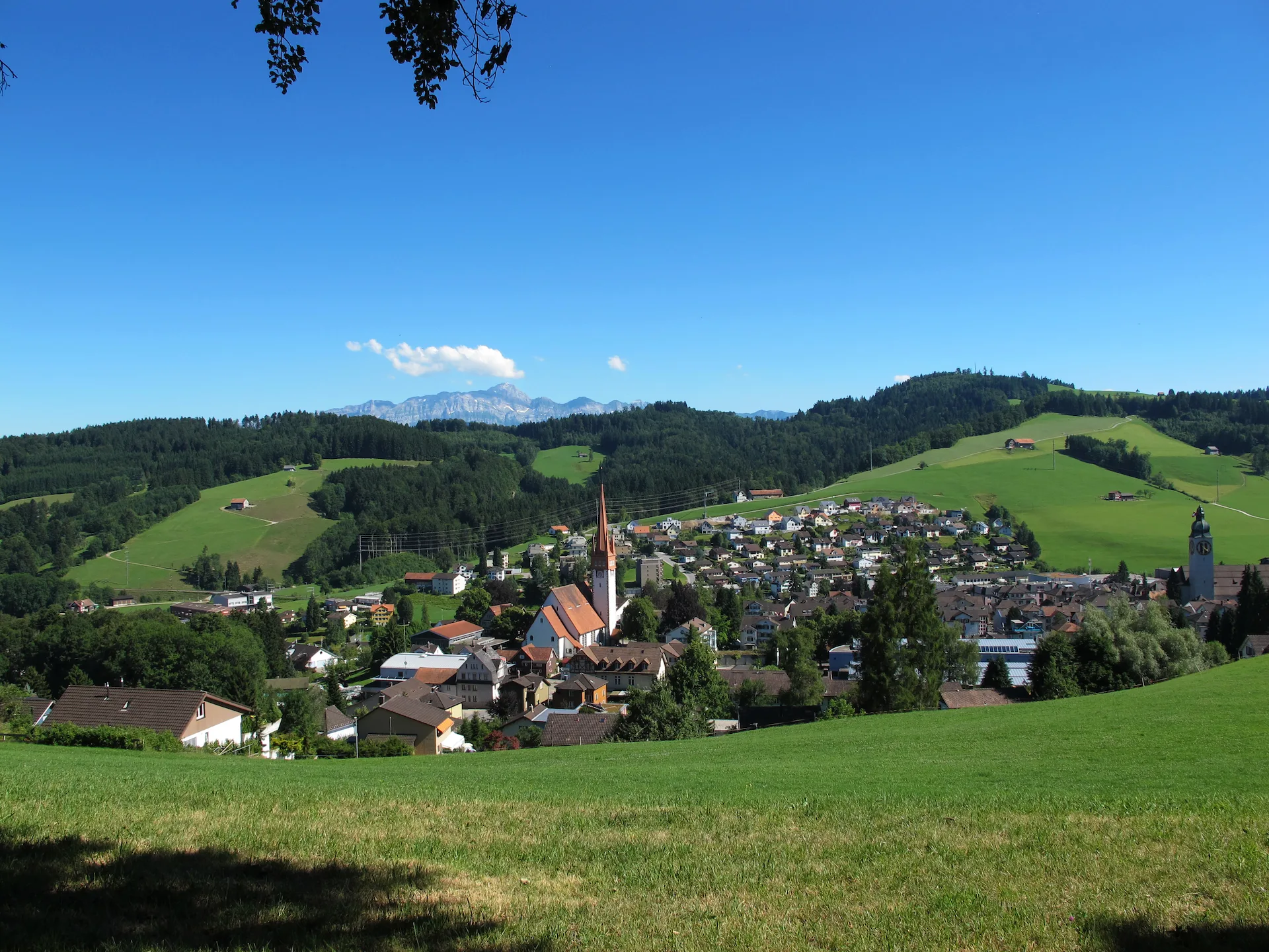 9116 Wolfertswil