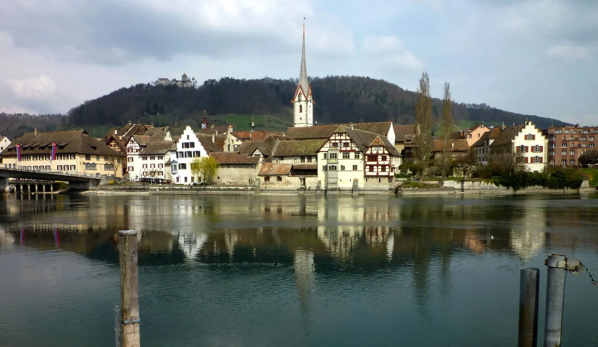 Stein