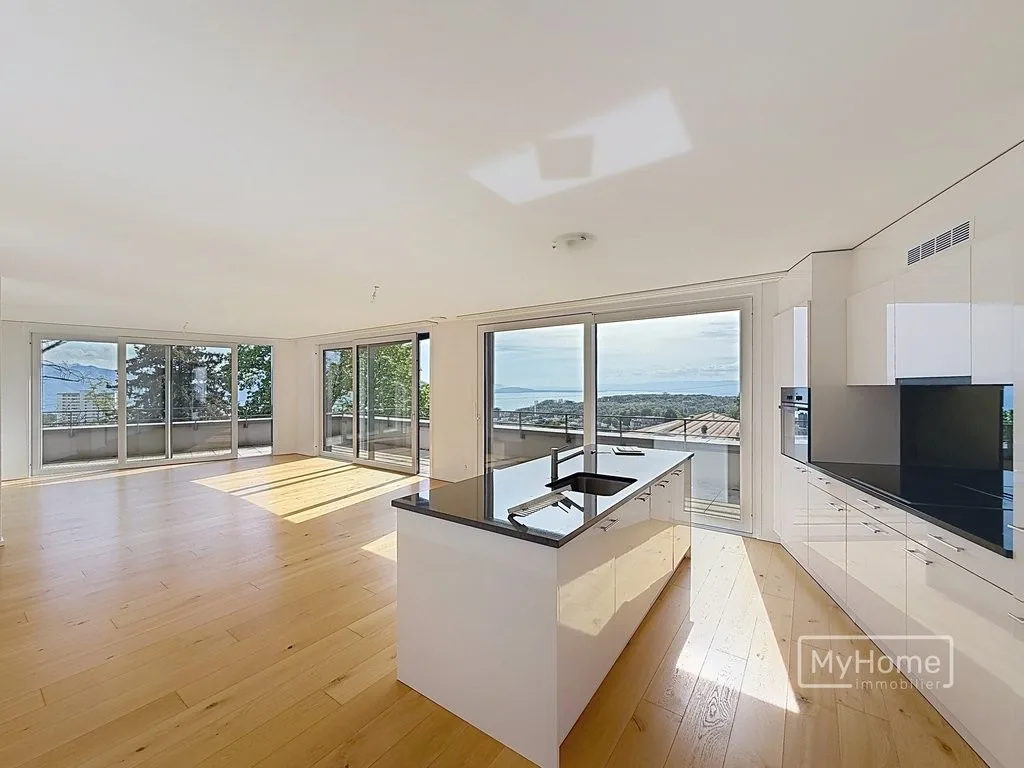 Magnifique appartement avec terrasse 360 et terrasse sur le toit