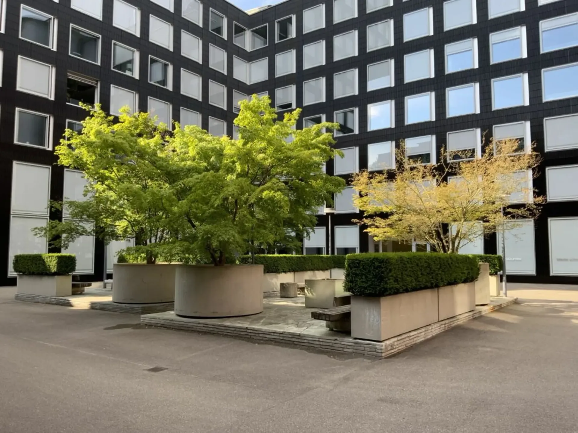 Loft für Wohnen und Arbeiten