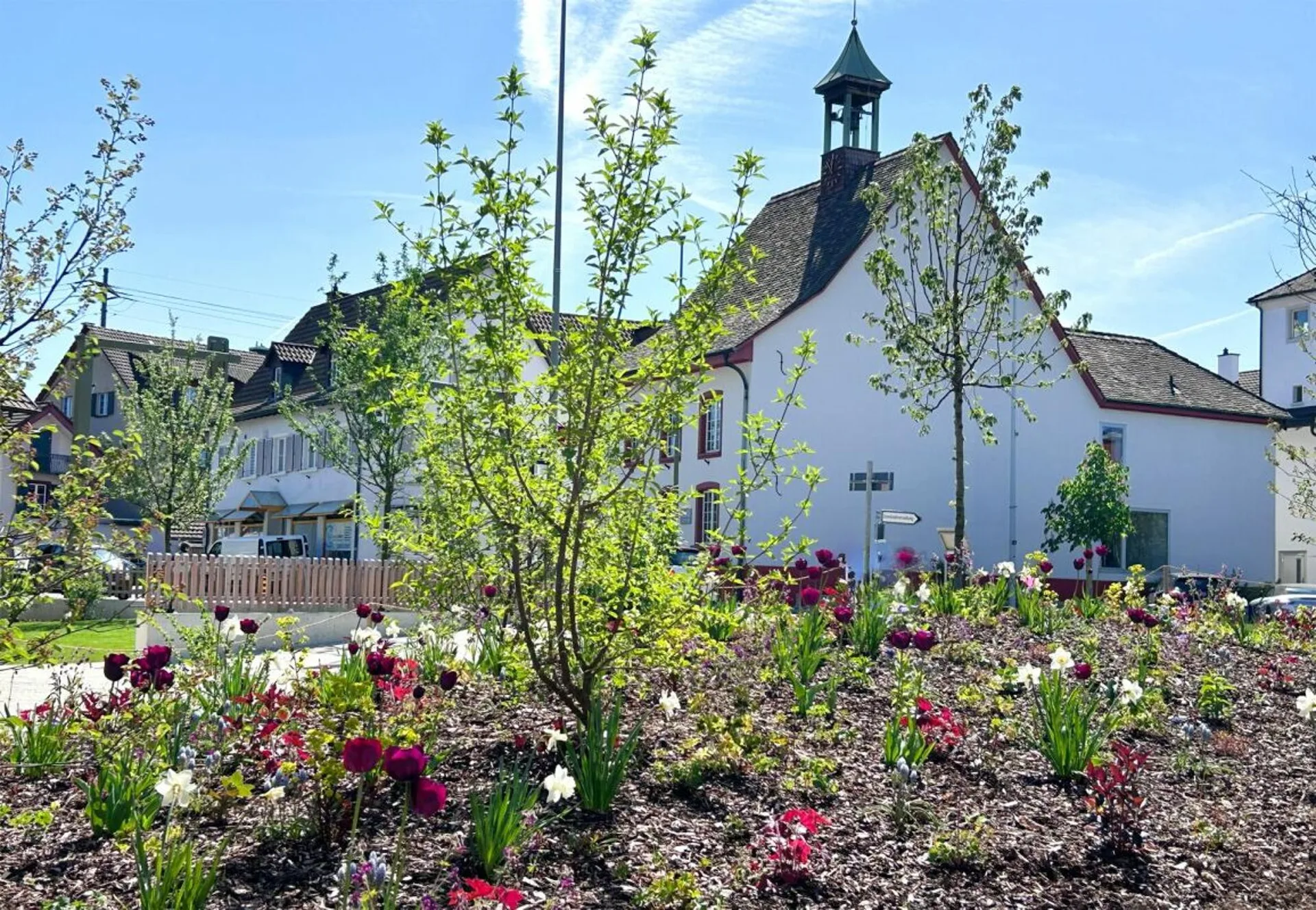 Image 15