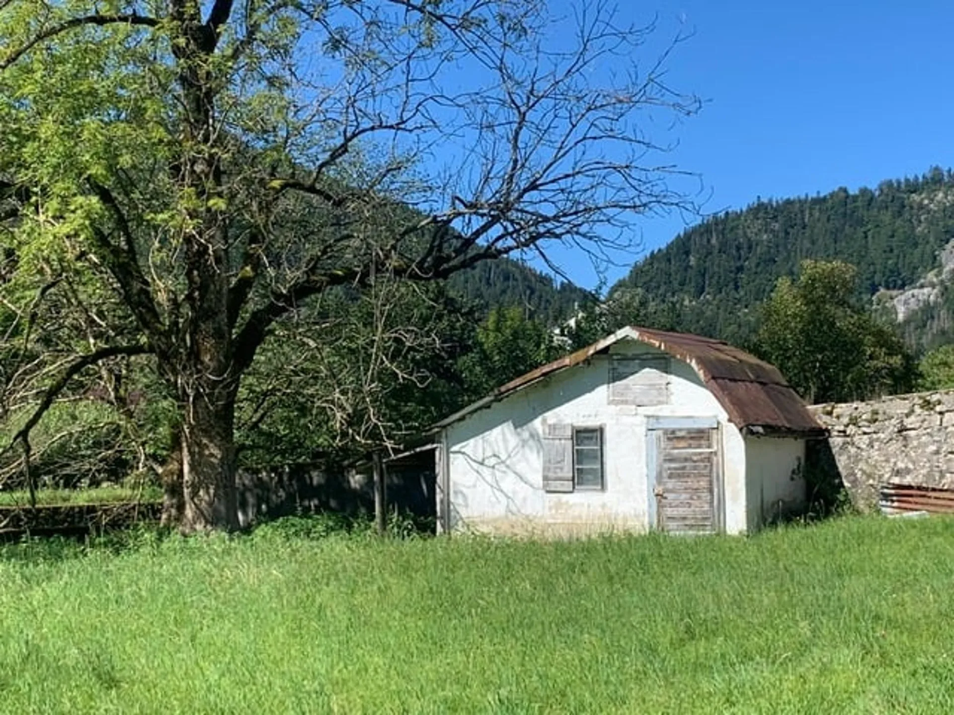 Image 6