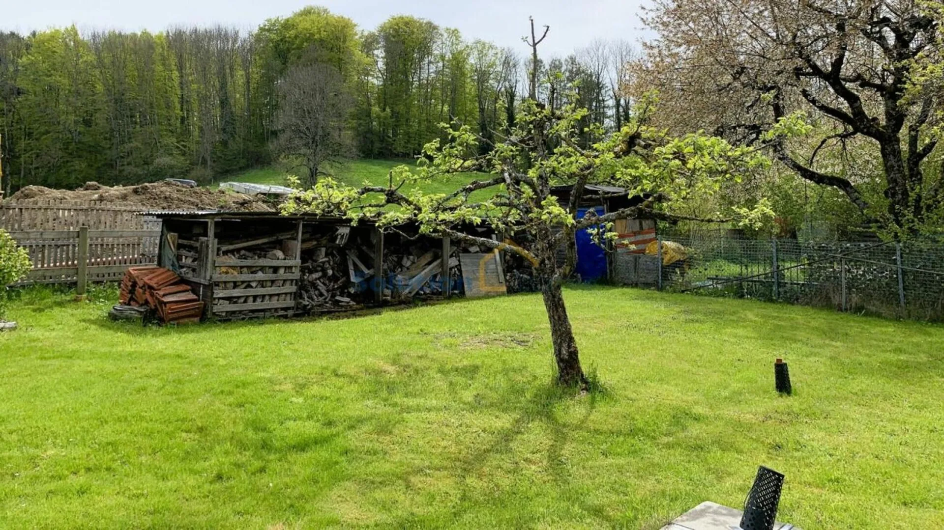 Bild 12