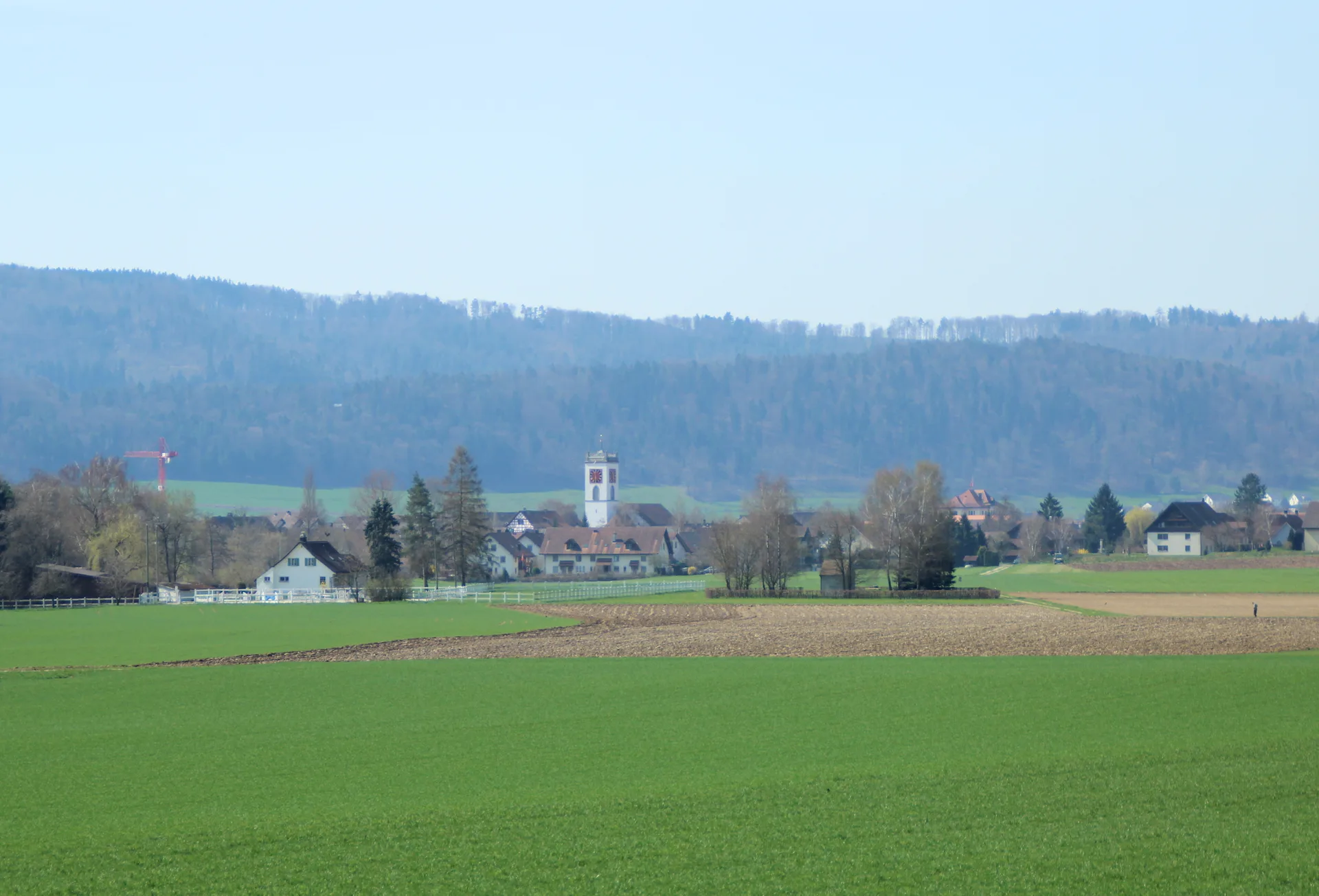 Aesch (Neftenbach)