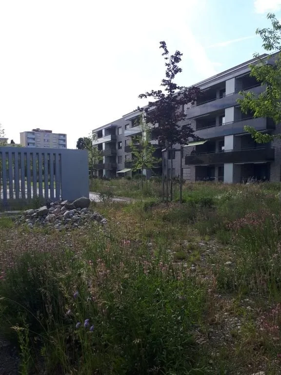 MODERN | ZENTRAL | BLICKFANG
