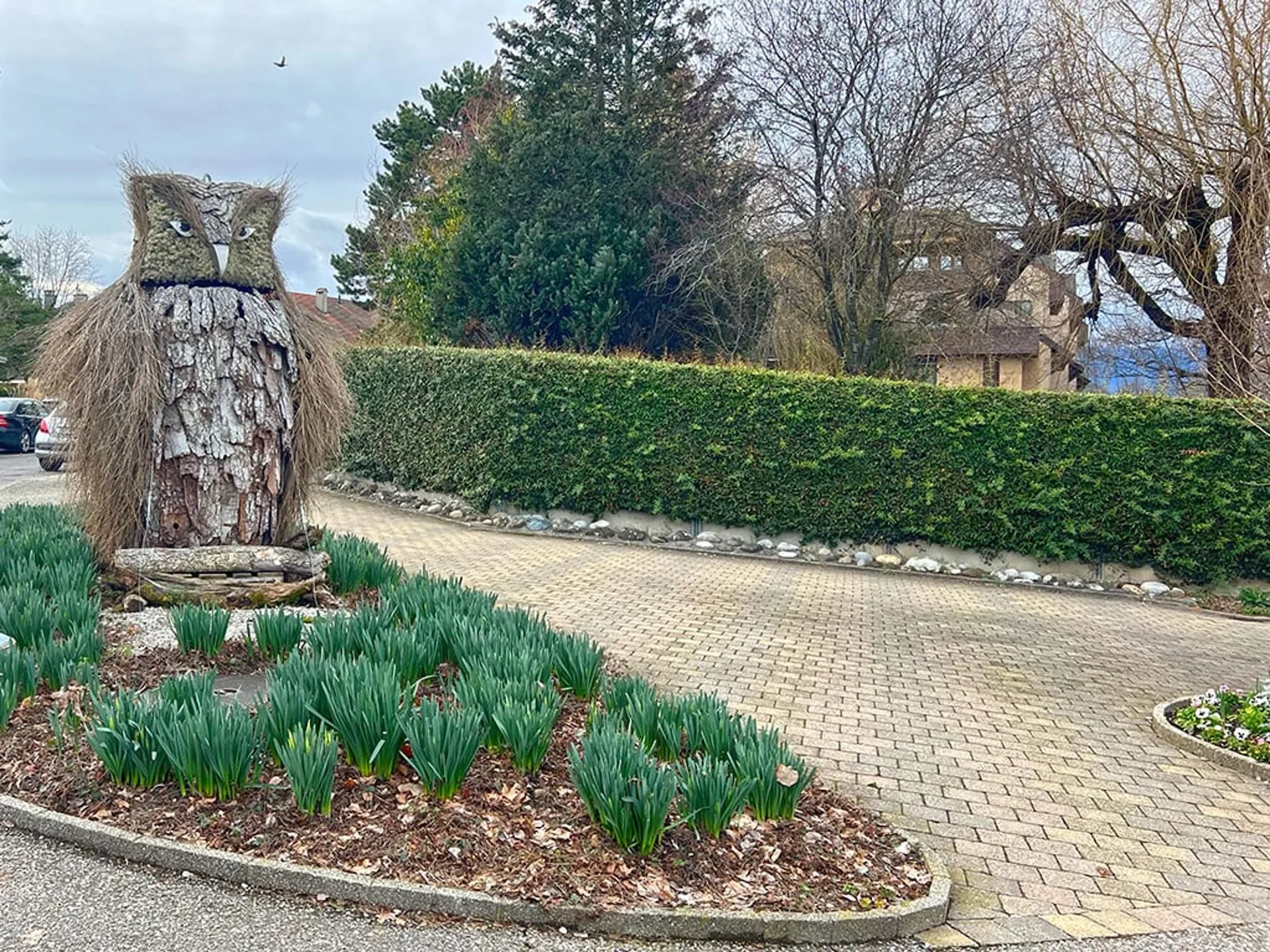 Image 5