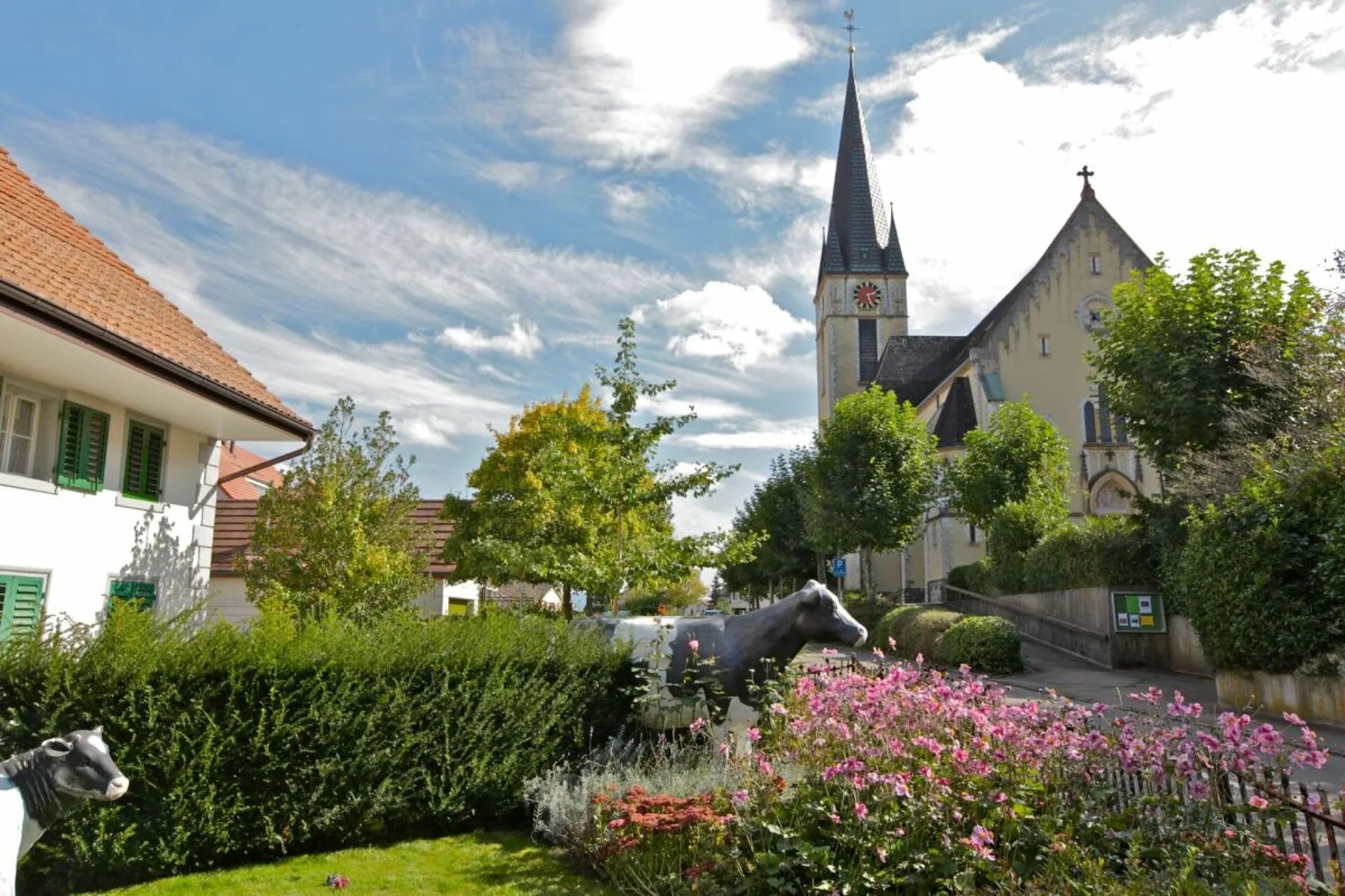 Image 9