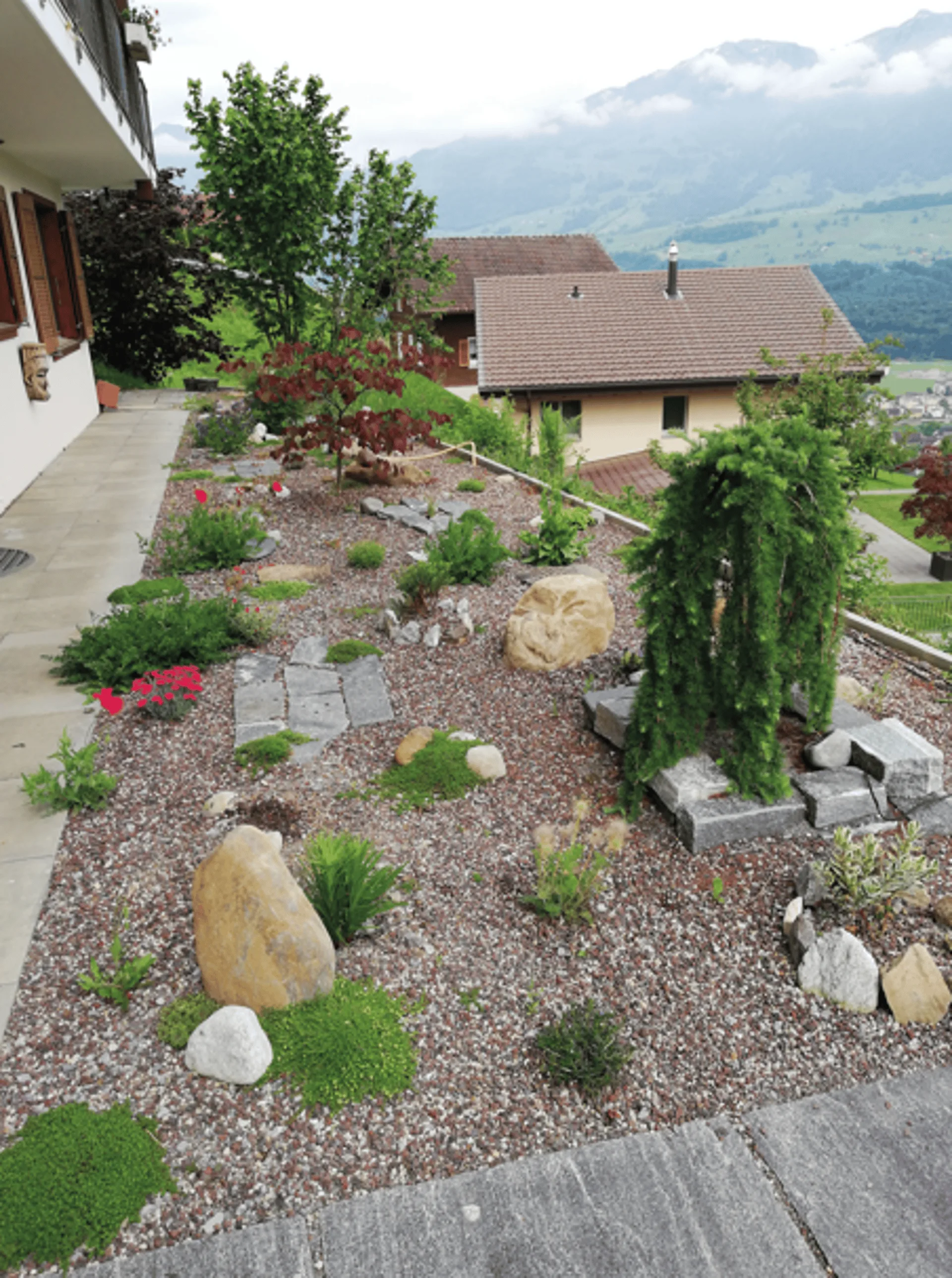 Image 12
