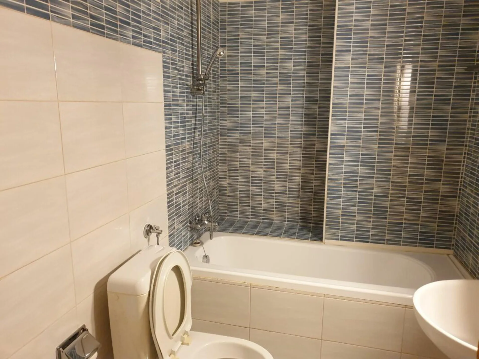 Image 7