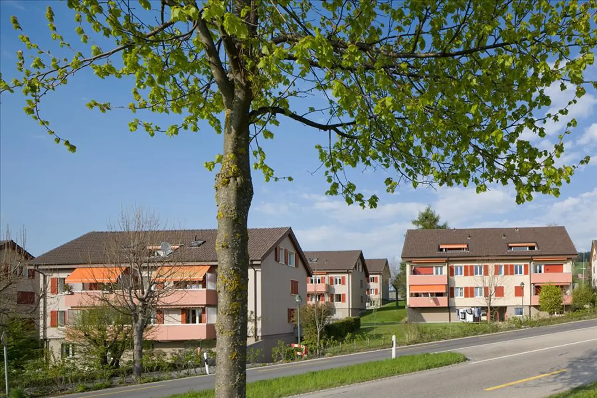 Tag der offenen Tür mit *Frühlingsaktion*!