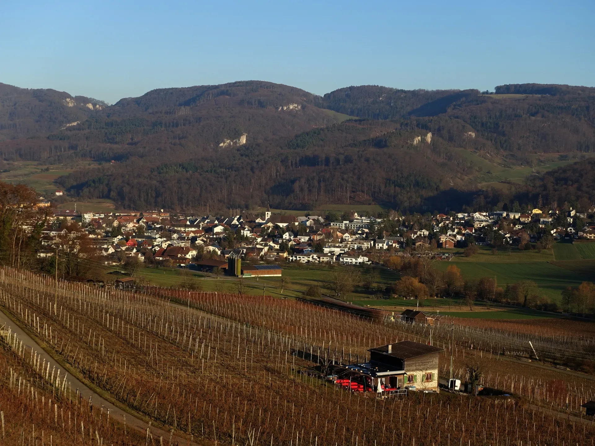 Aesch BL