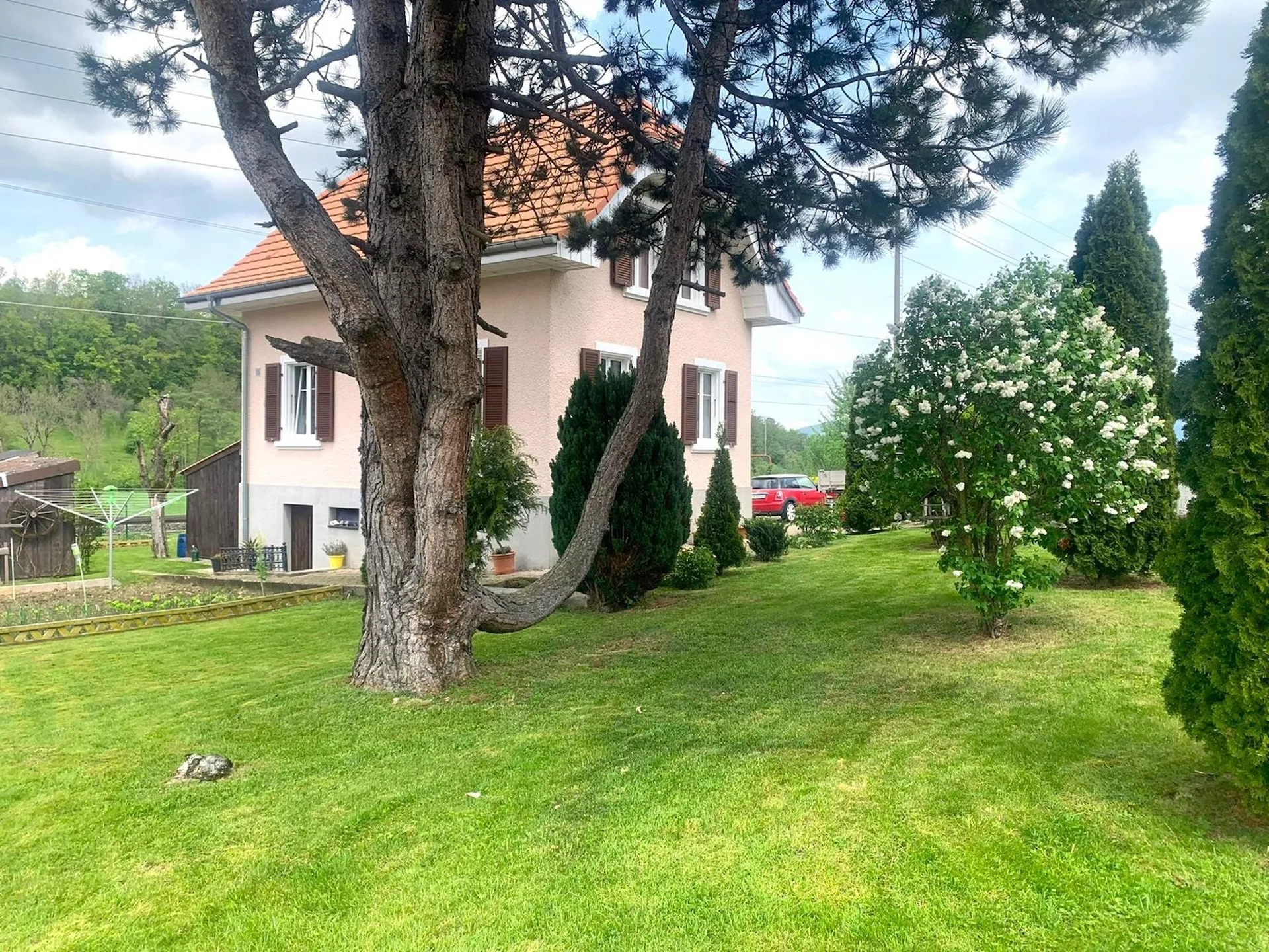 Image 10