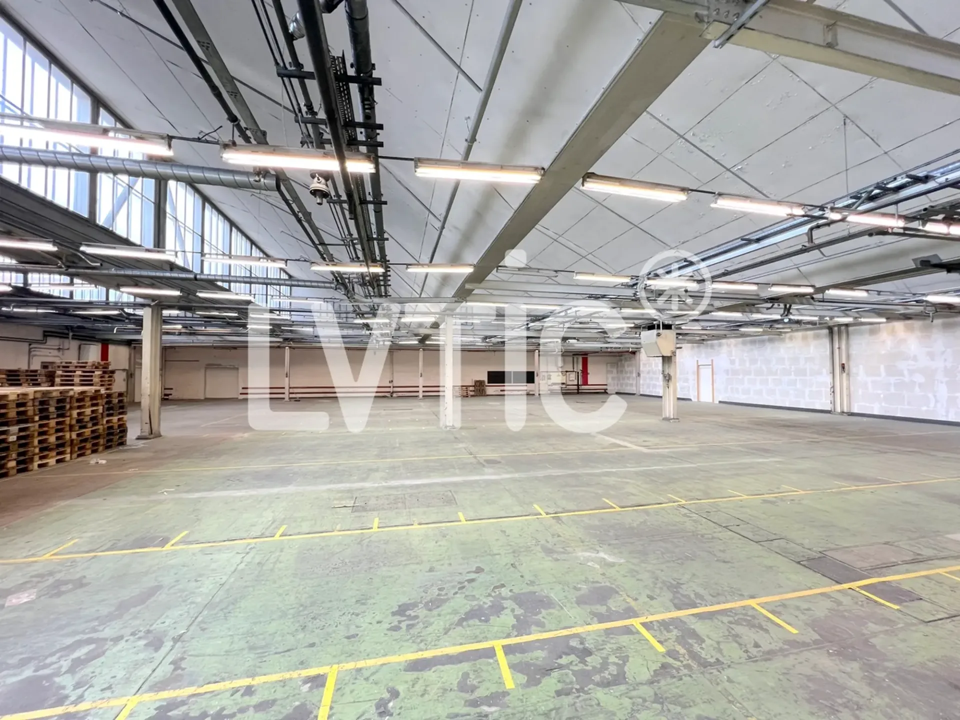 Lagerhalle, Werkstatt von 850 m2 zur Miete in Crissier