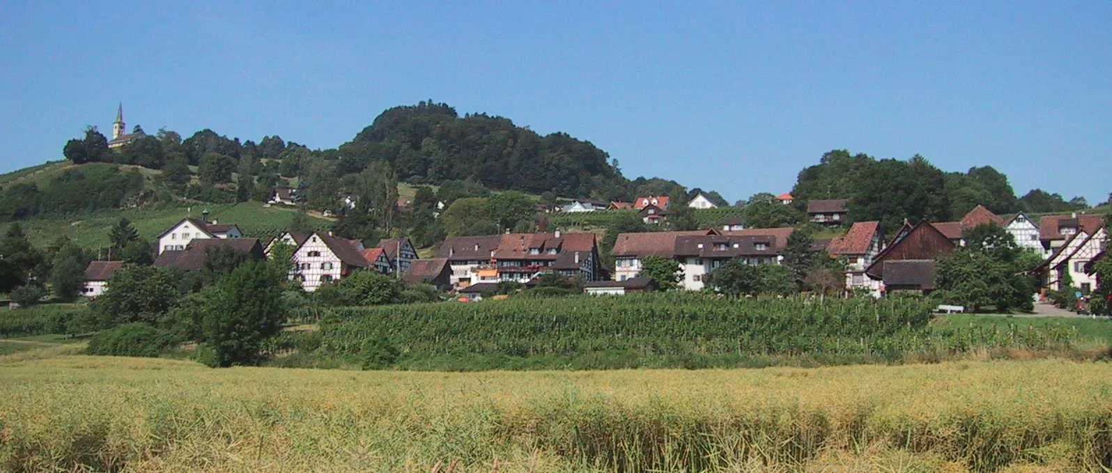 8455 Rüdlingen
