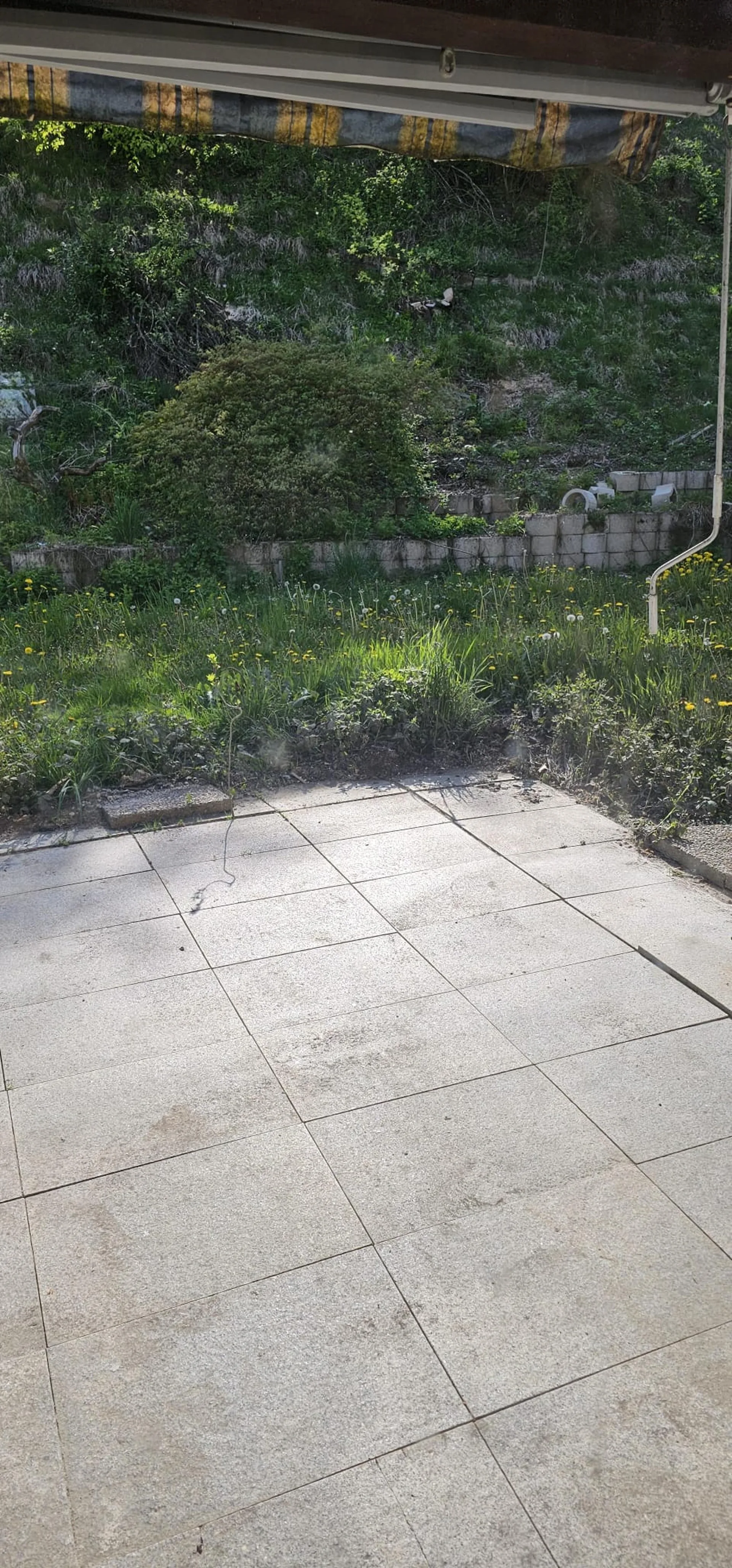 Image 16