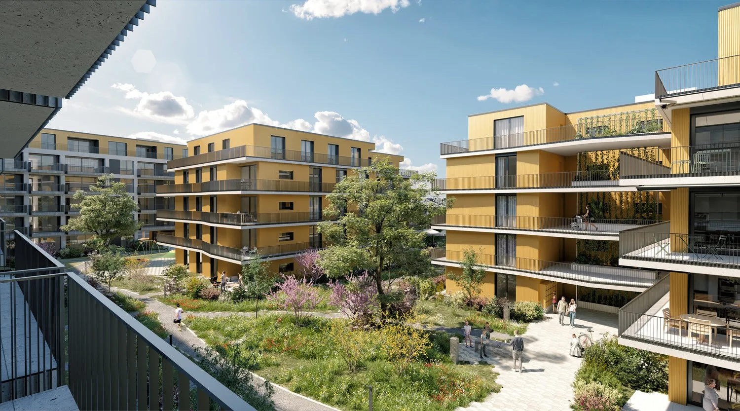 Appartement 2,5 pièces neuf au 1er étage à louer à Renens