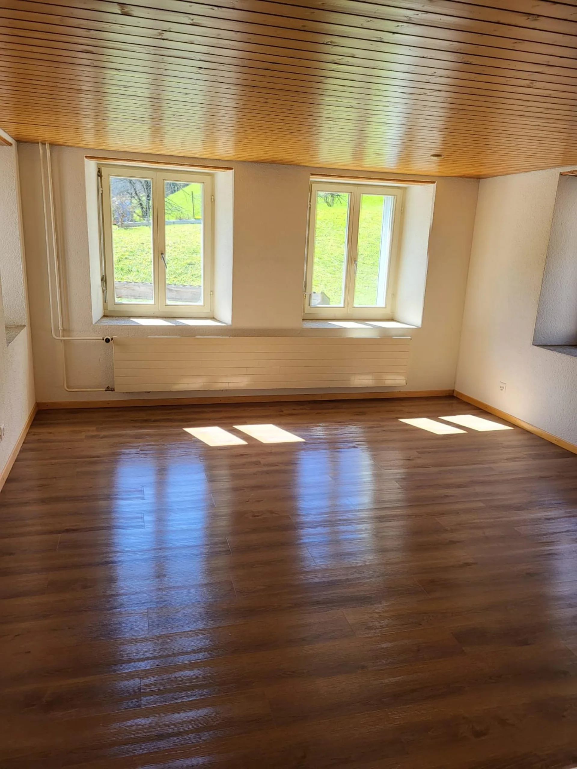 Neu Renovierte 1-Zimmer-Apartment in ruhiger Lage in Luchsingen