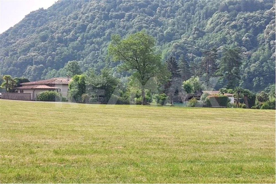 Image 10