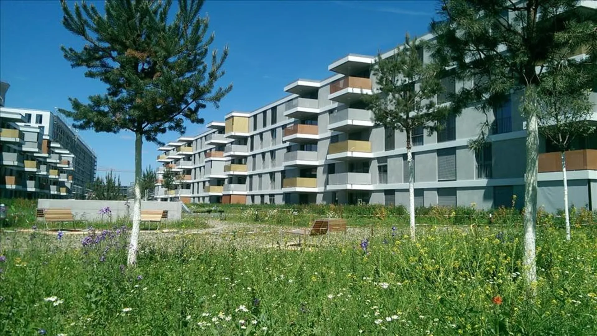 Schöne Neubauwohnung mit Sitzplatz zu vermieten