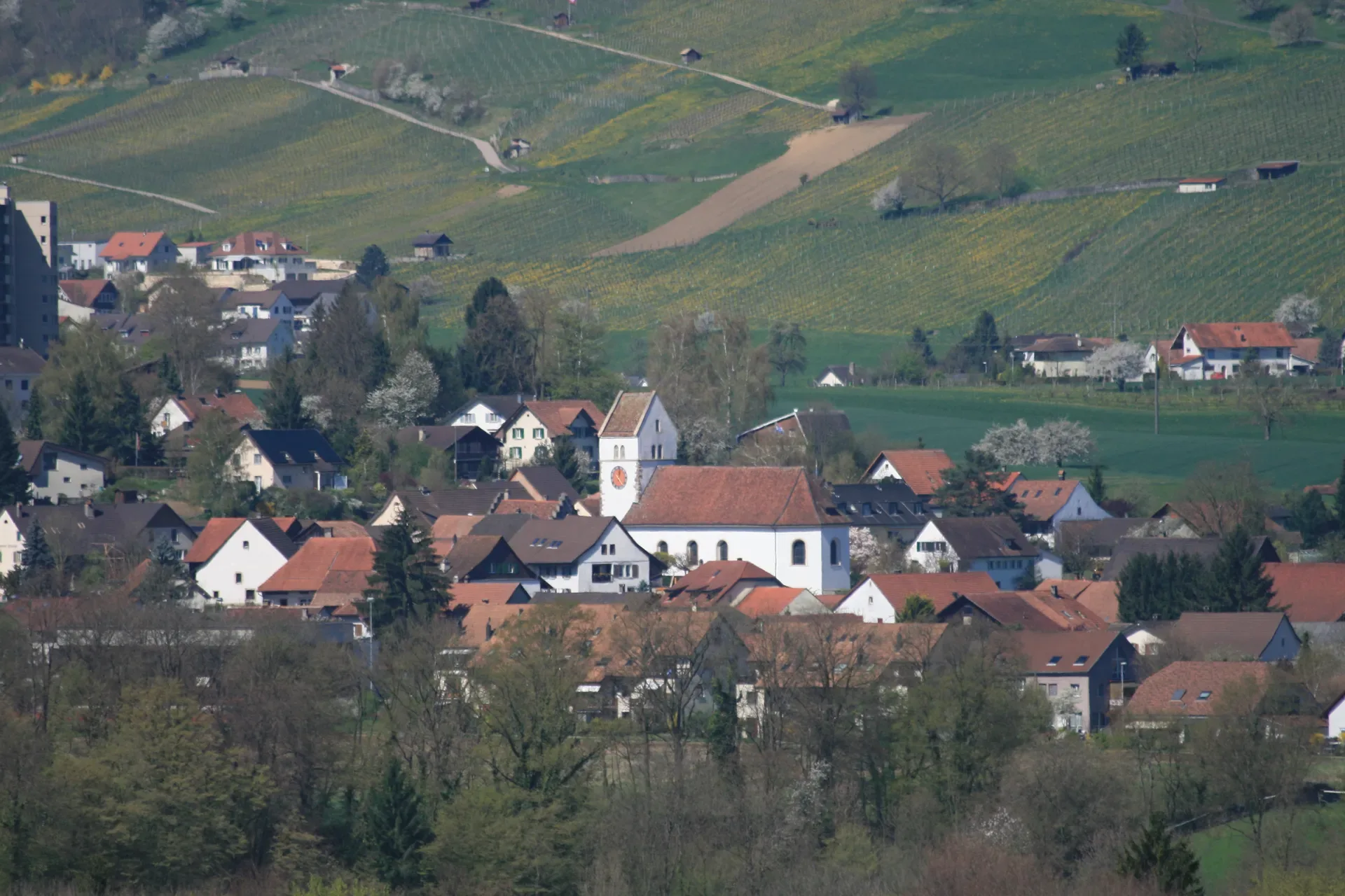 5106 Veltheim AG