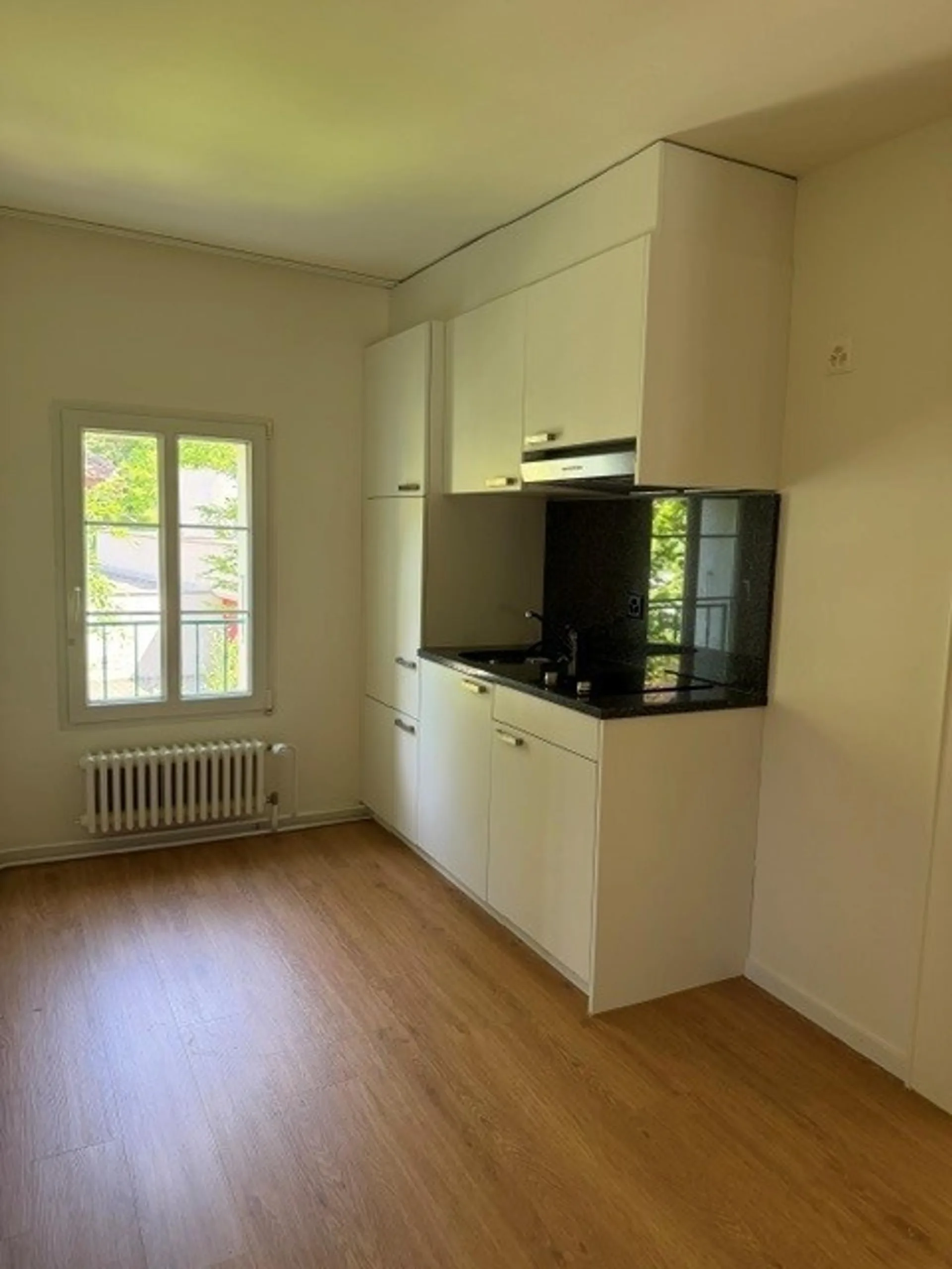 Schöne Wohnung in Zentrumsnähe von Luzern zu vermieten!
