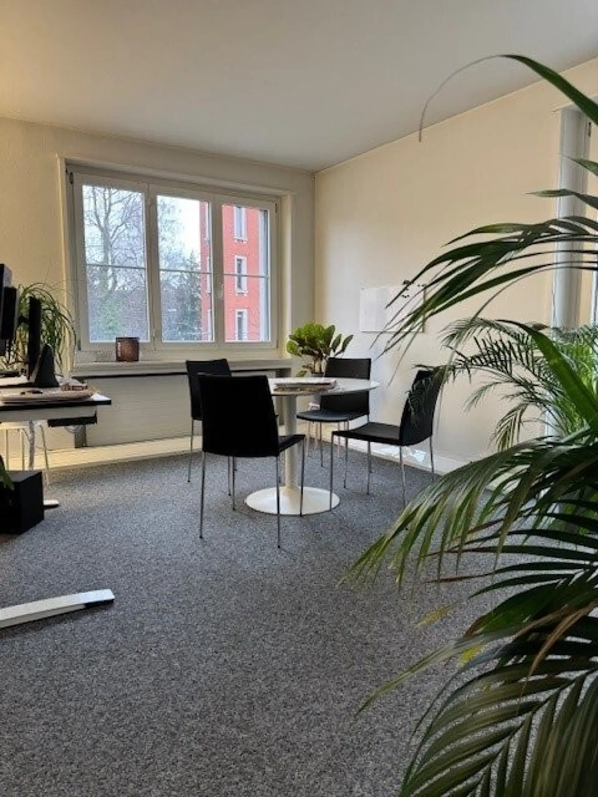 Helles Büro mit Wohlfühlfaktor