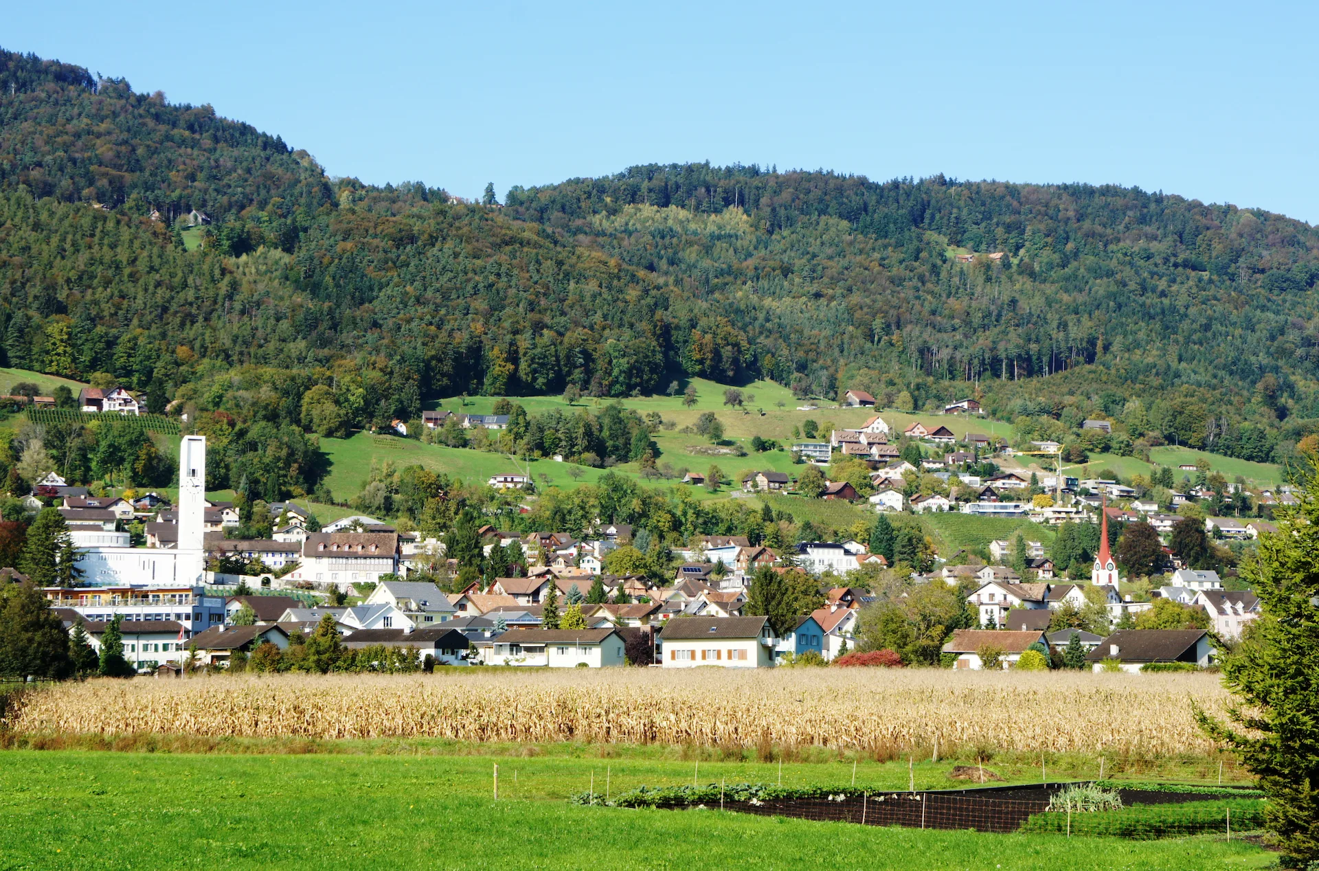 9445 Rebstein