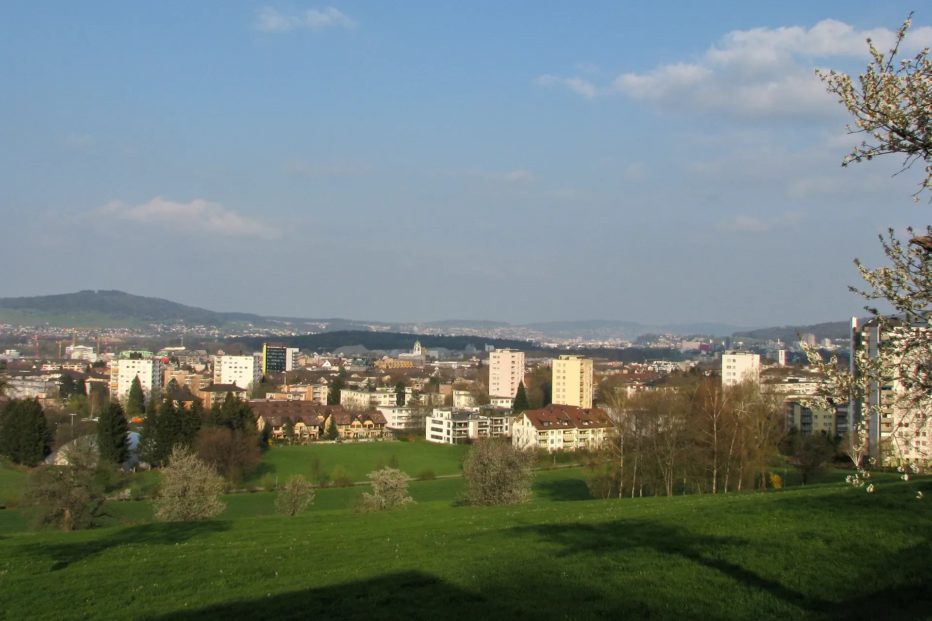 8953 Dietikon