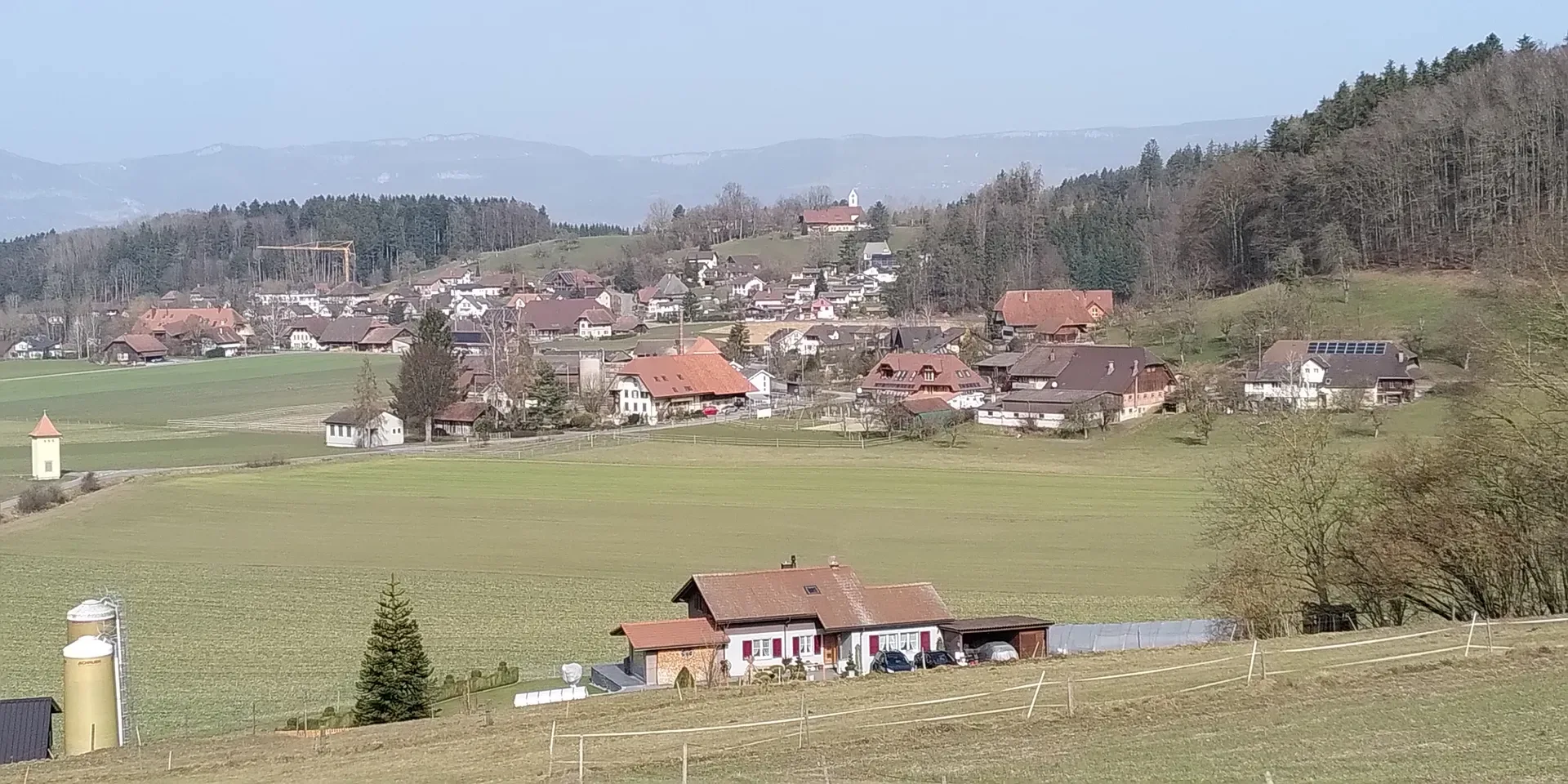 3365 Grasswil