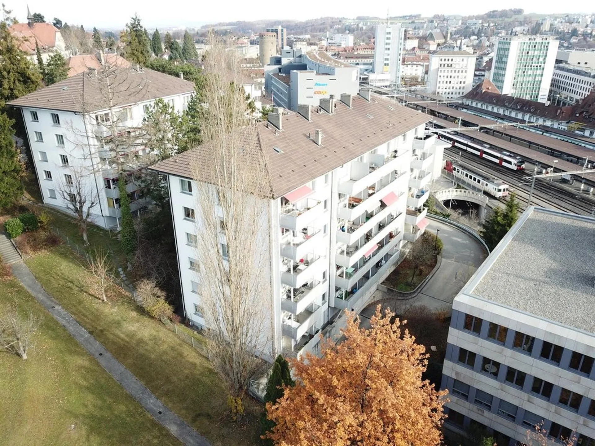 Image 7