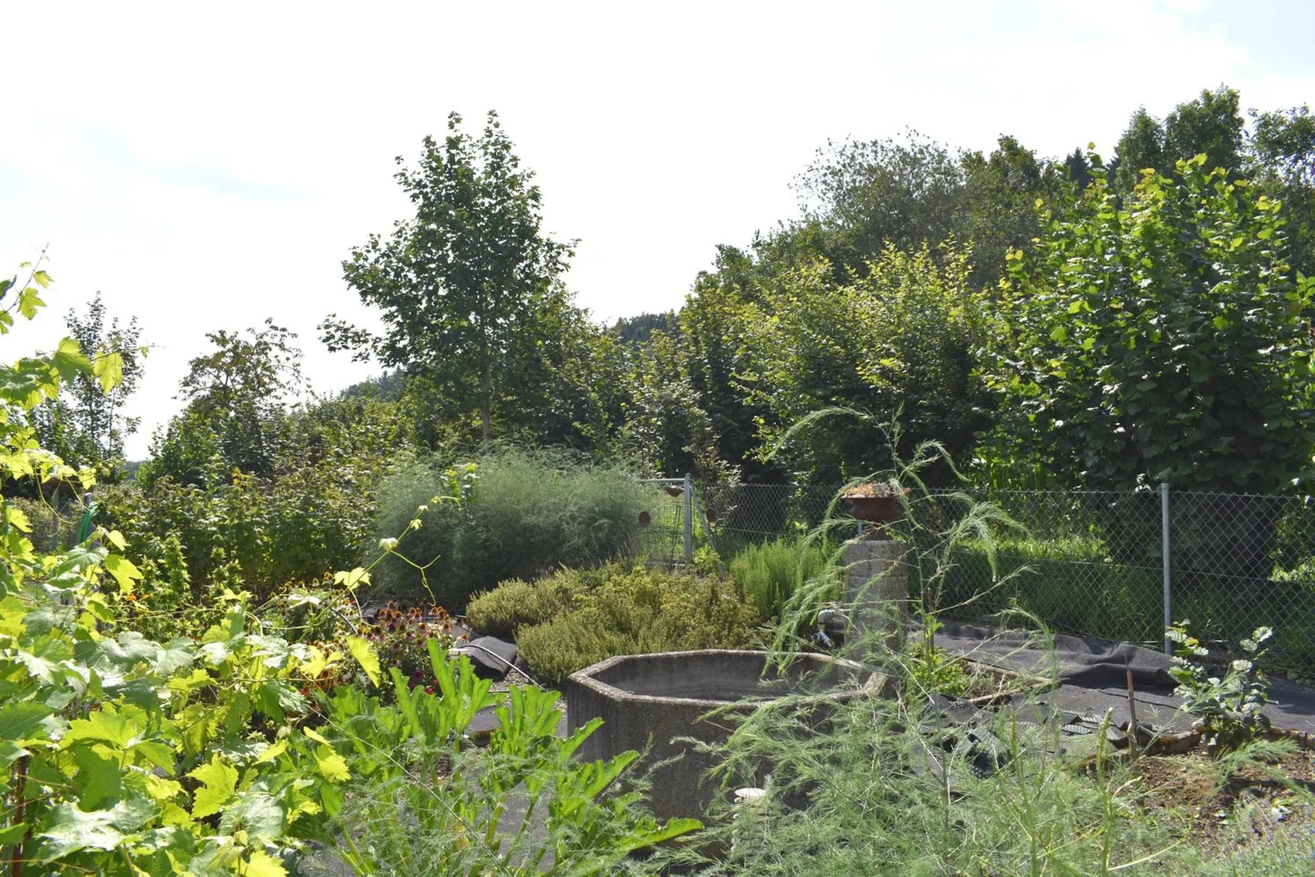 Bild 6
