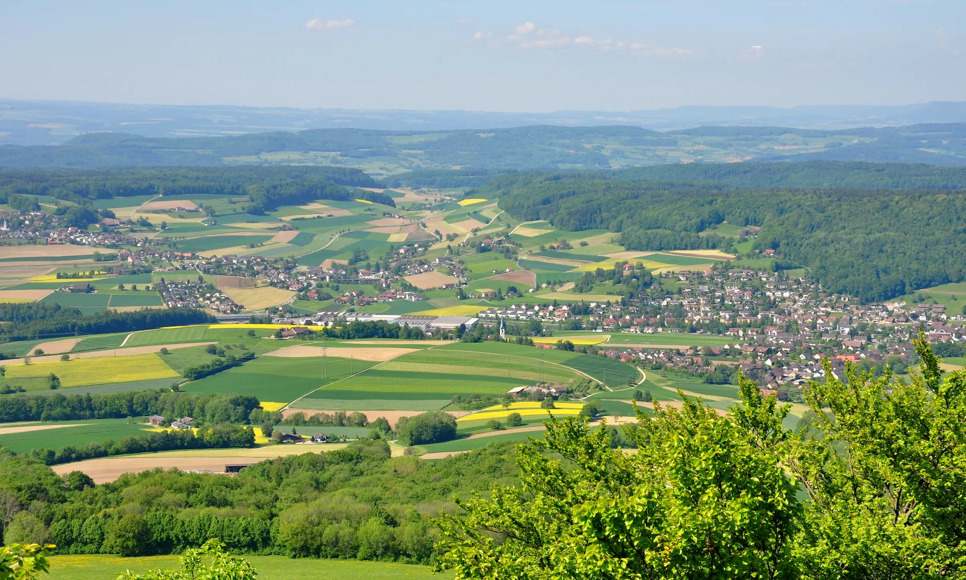 Niederweningen