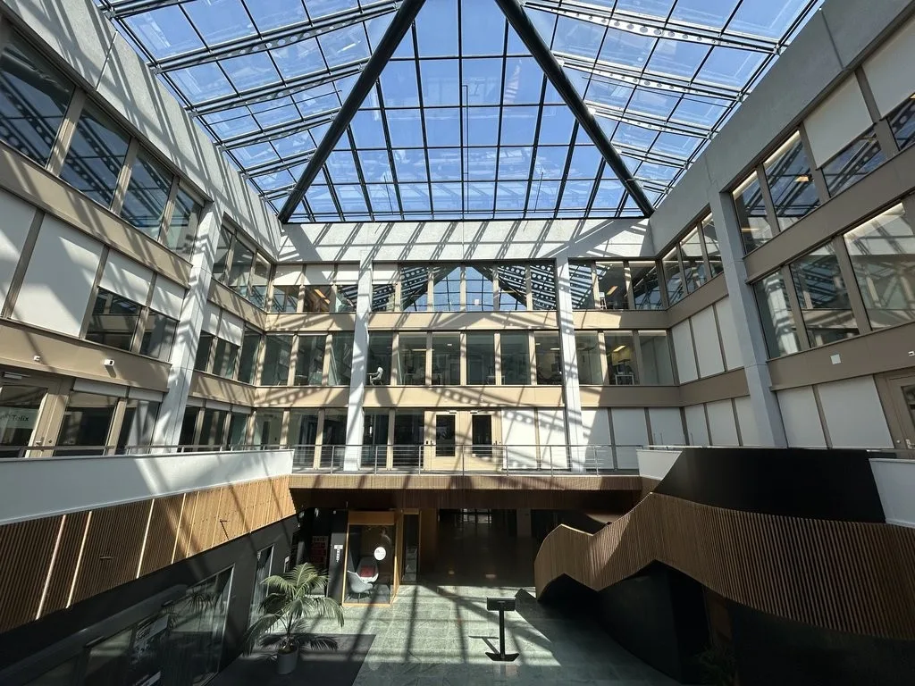 Image 4