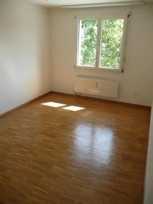 Gemütliche Single-Wohnung