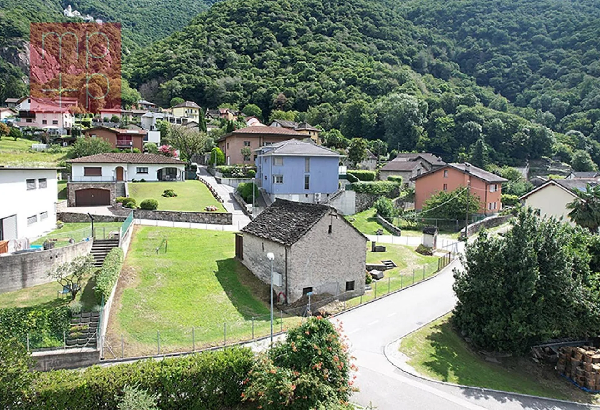 Immagine 7