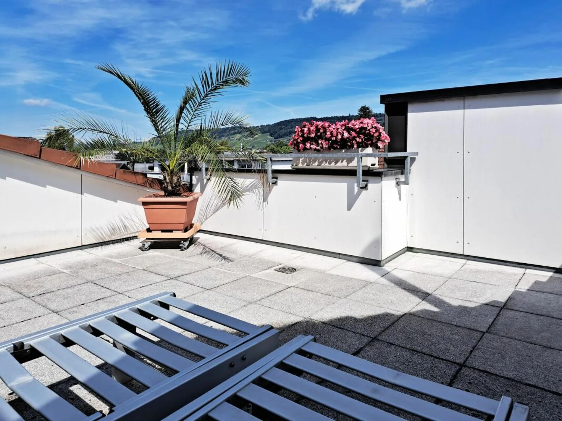 Wohnen mit Weitblick: 5.5-Zimmer Maisonette-Dachwohnung in Weinfelden