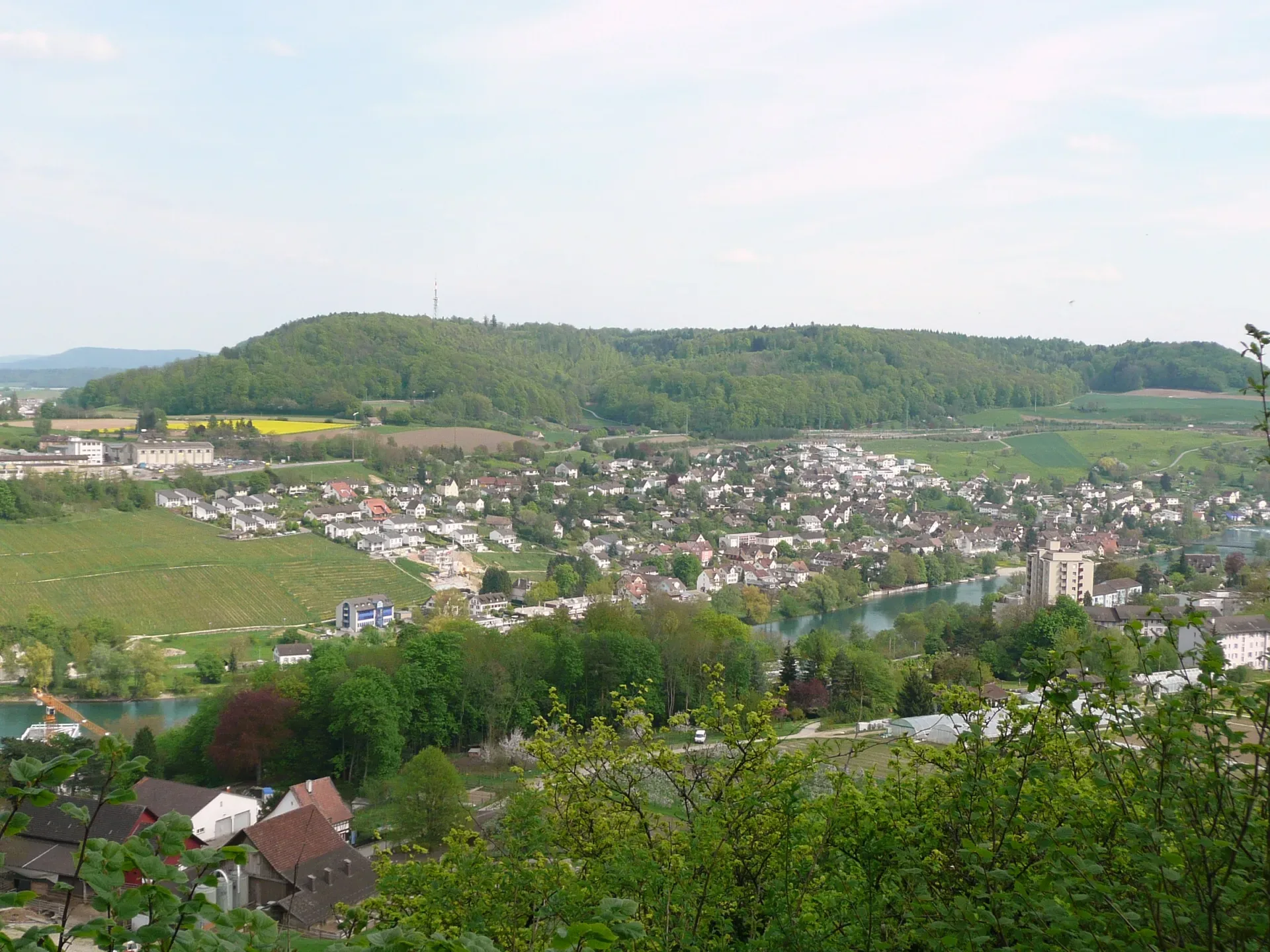 Flurlingen