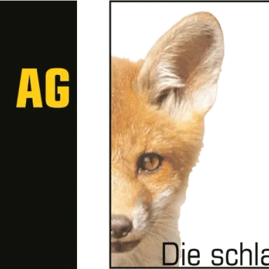 Fuchs Immobilien AG